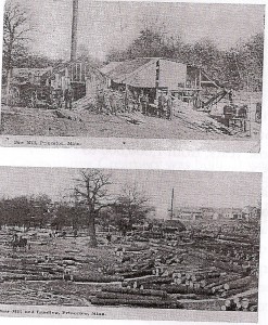1- Picture of logging operations near Princeton