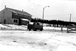 Juniper spring 1960s