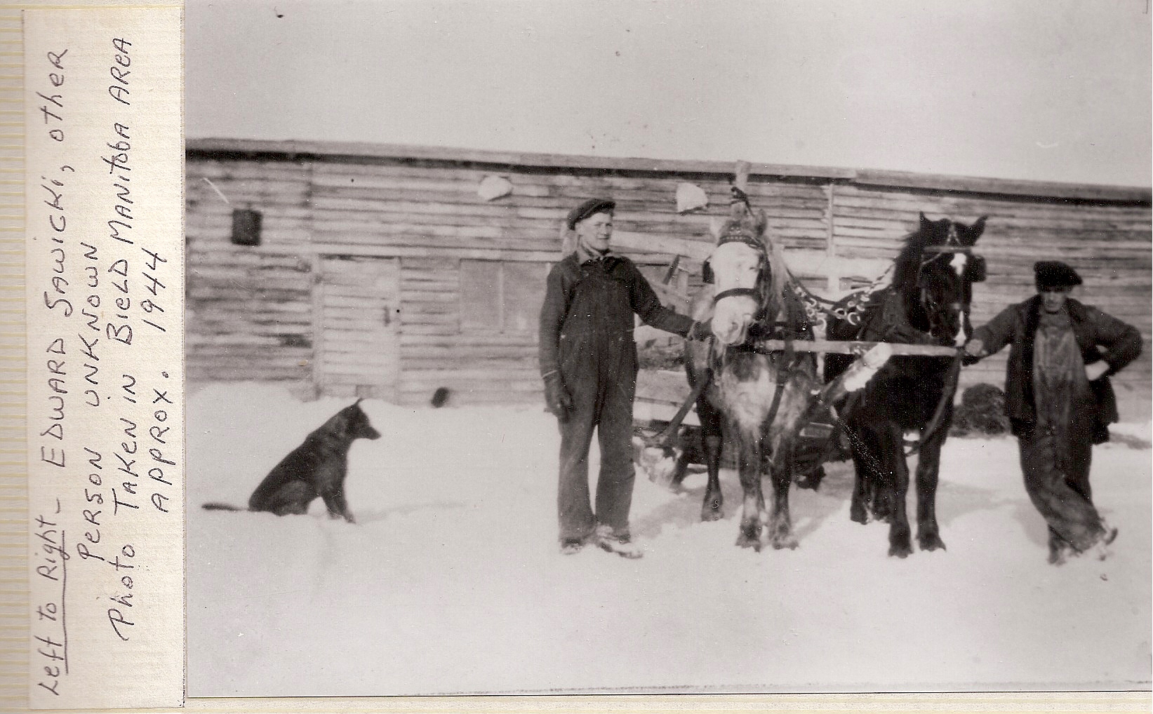 Ed Sawicki by horses on farm 1944