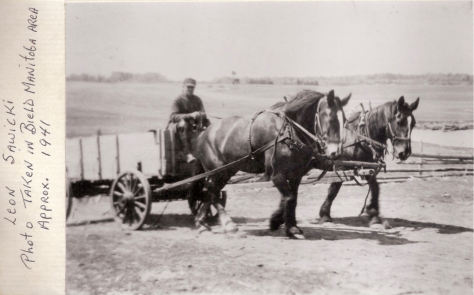leon Sawicki on a wagon 1941