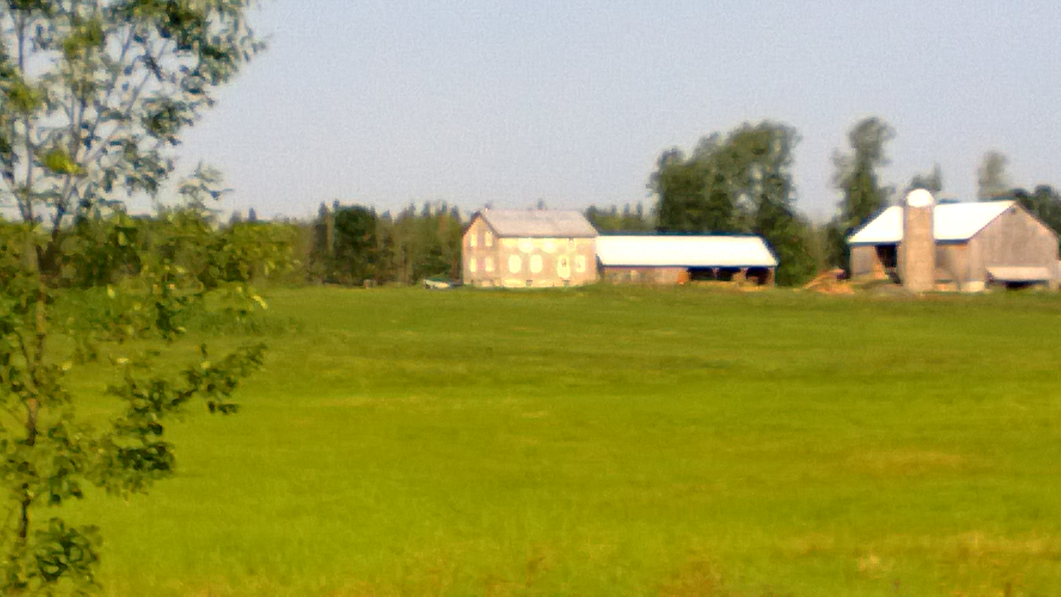 view of an old farm