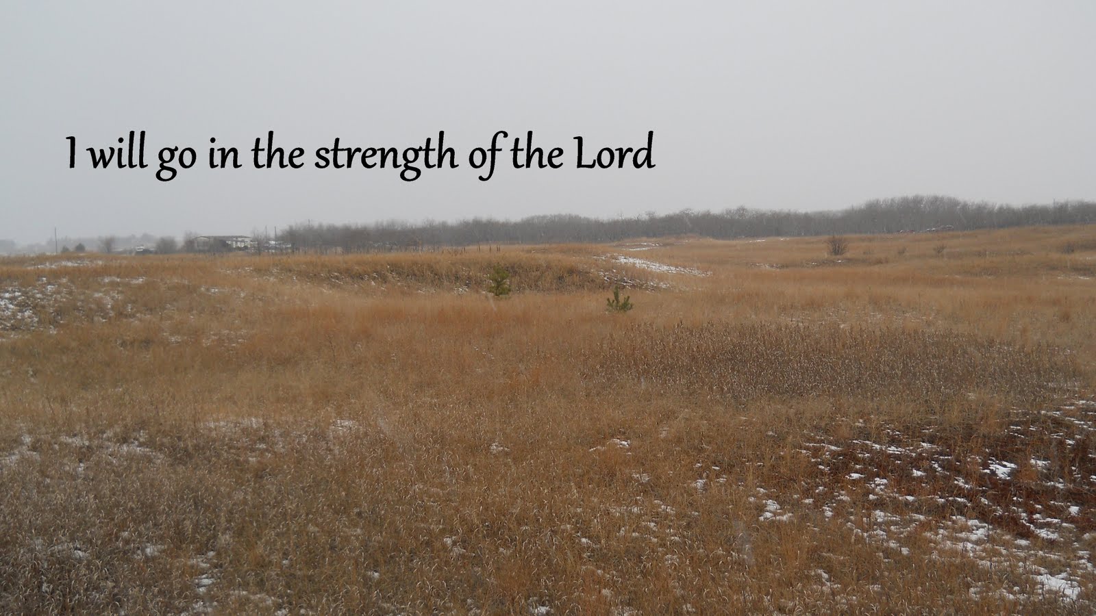 strength in the lord