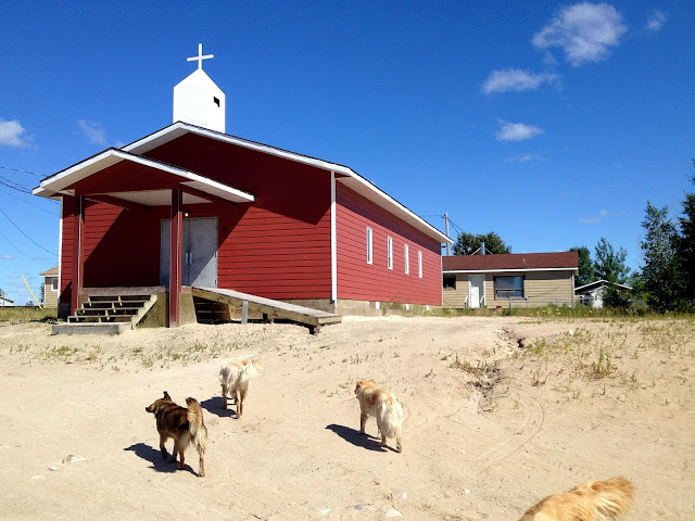 dogs and church