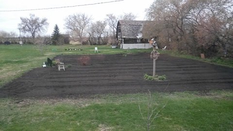 the barn and soil 5-2015