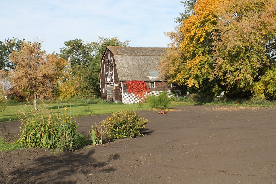 the barn in the fall 2014