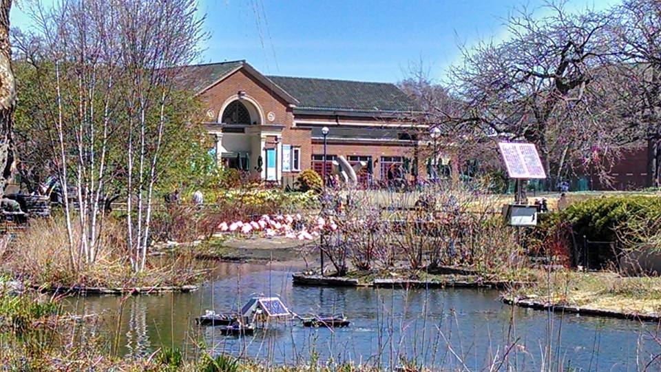 duck pond and building