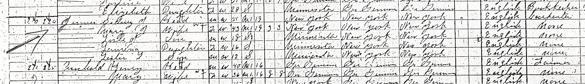 1910 census info focused
