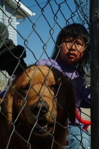 boy and dog behind fence