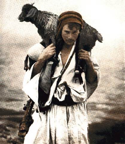 a shepherd