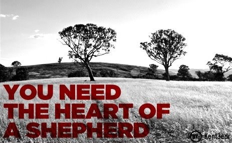heart of a shepherd