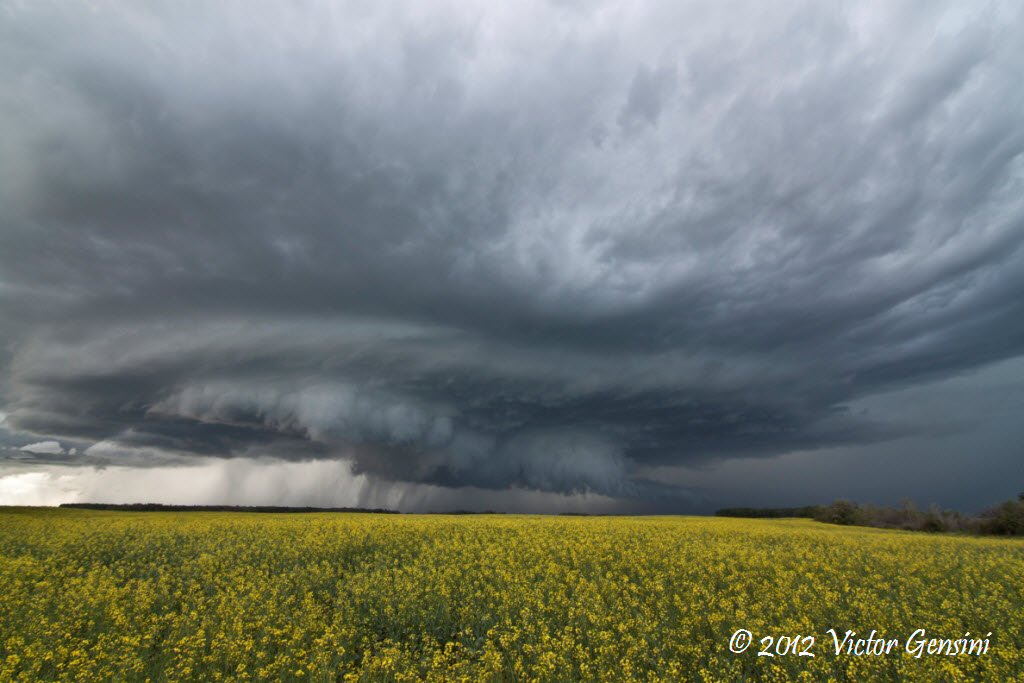 thunderclouds of quill lake