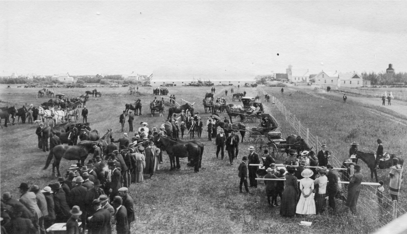 wadena horse auction 1911