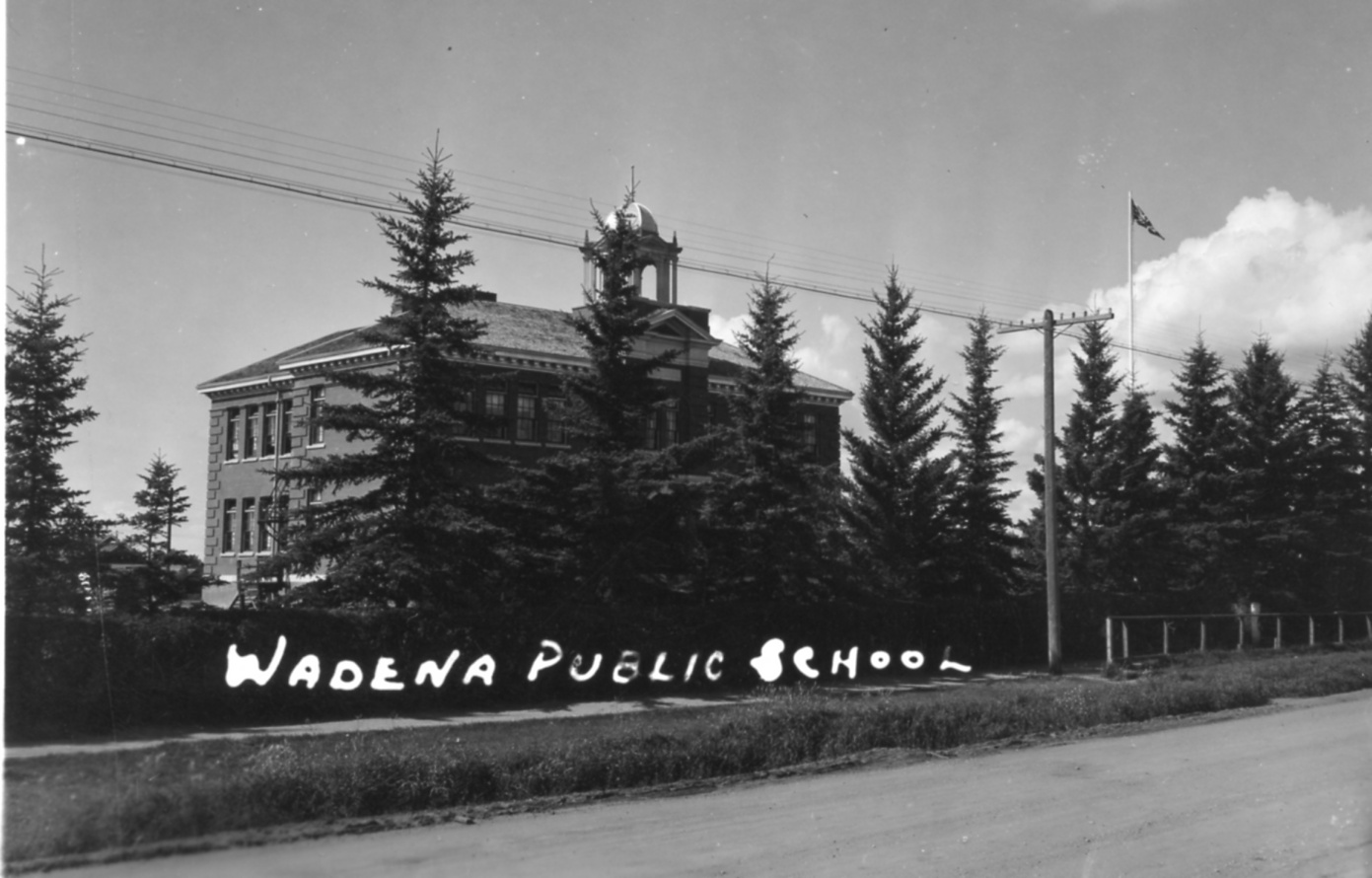 wadena public school