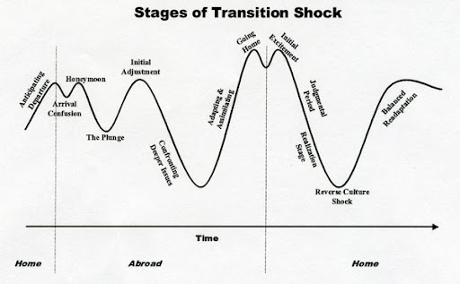 Transition-Shock