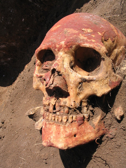 early modern european skull 6-10-15