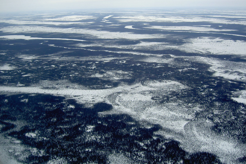 arial view in the winter