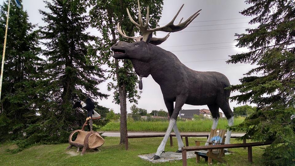 moose and eagle chair 2015