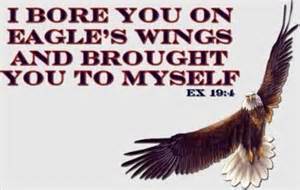 eagles wings