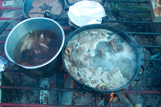 boiling moose meat