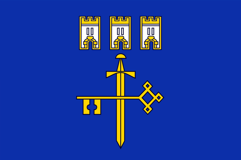 Flag_of_Ternopil_Oblast.svg