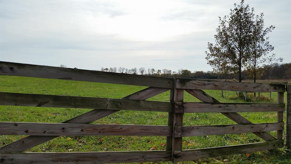fence-2