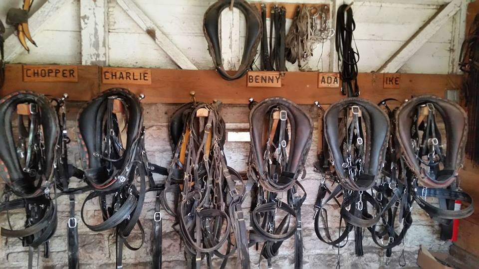 horse-harnesses