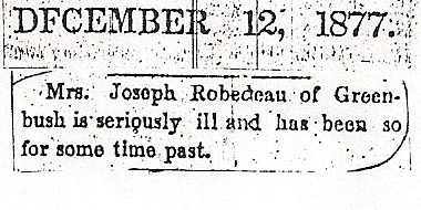 mrs-j-robideau-is-ill-1877